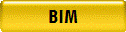 BIM